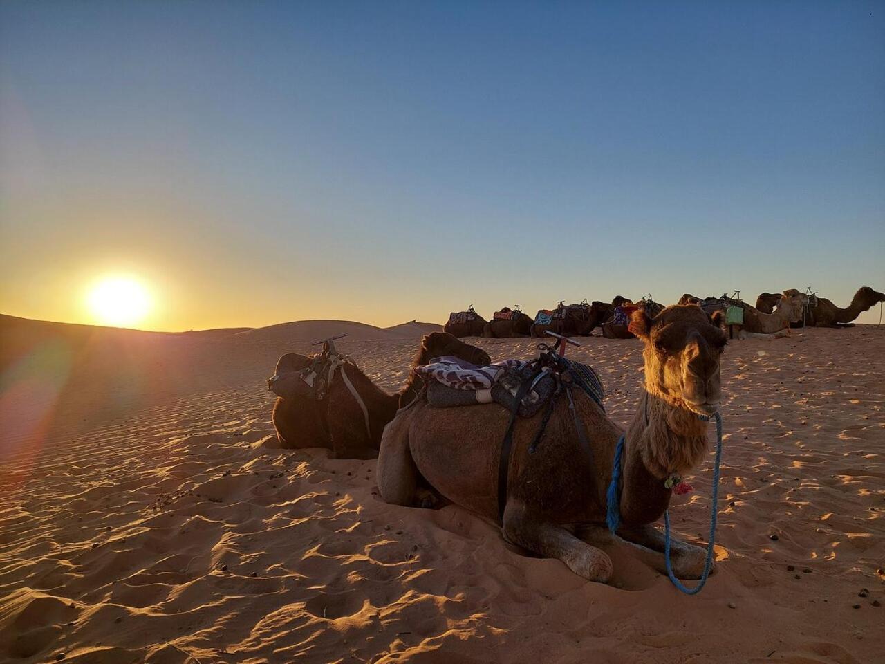 Hotel Desert Experience Glamping Merzouga Exterior foto